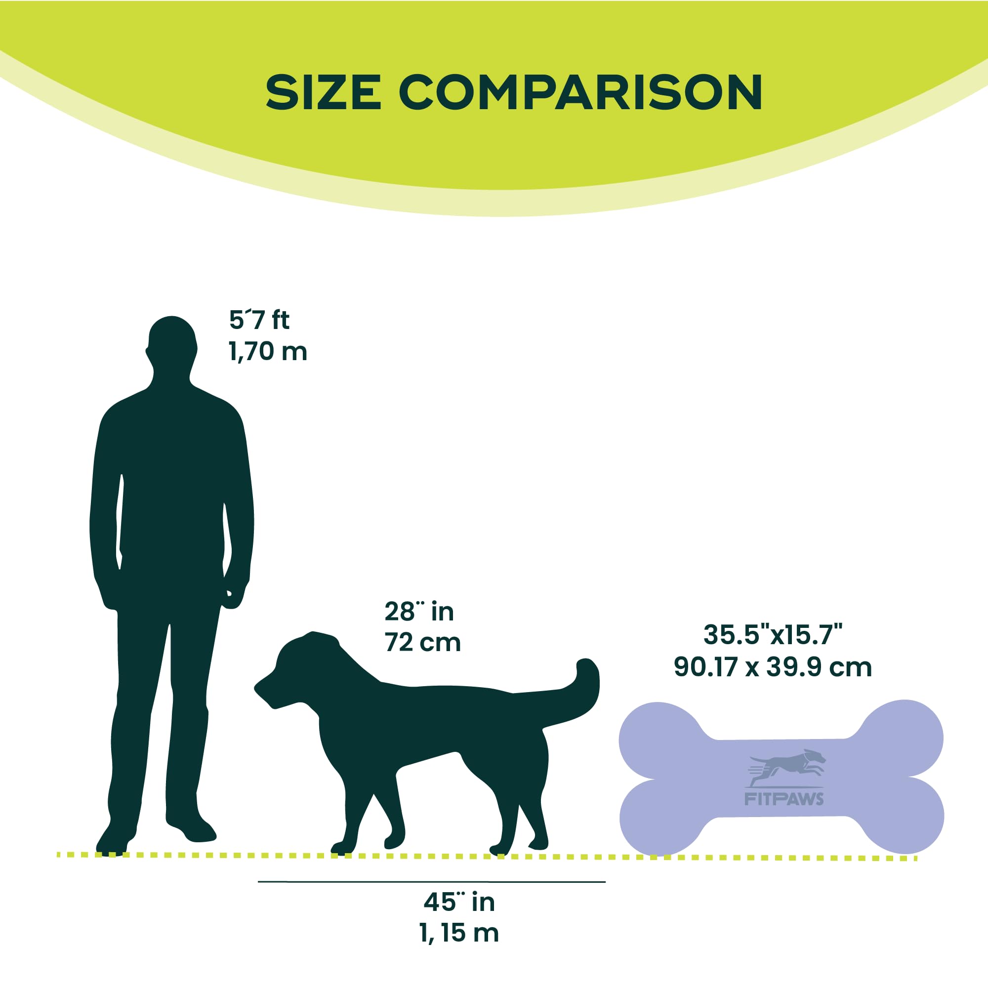 Amazon.com: FitPAWS® K9FITbone® - Giant, Blue | Dog Balance